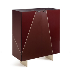 Modern Wood Veneer Shoe Cabinet – Stylish Design with Sleek Metal Legs