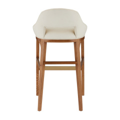 Modern Wood Leg Bar Stool for Dining Room or Kitchen