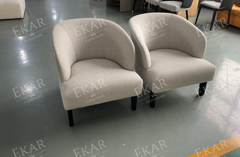 Modern Leisure Chair