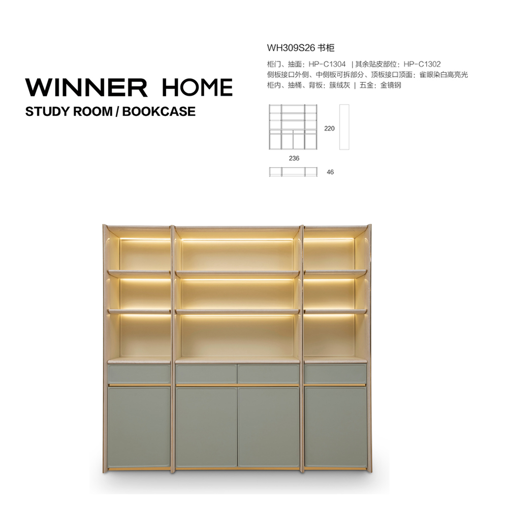 Modern design style multifunctional storage bookcase ​