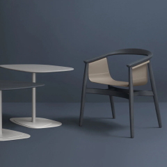 EKAR Zenith Dining Chair | Top-Luxury Solid Wood with Genuine Leather Details