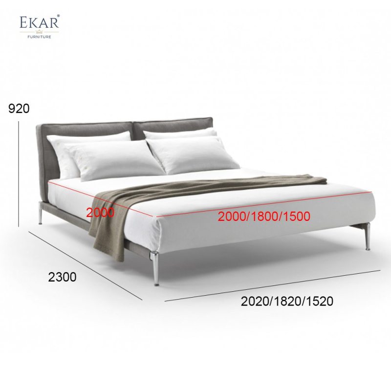Modern Bed with Metal Frame