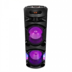 High Power Party Speaker PT91201