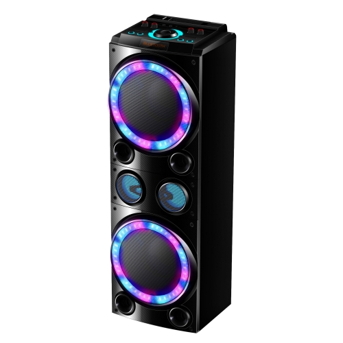Dual 10" Party Speaker PT91002