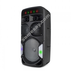 DJ Party Speaker PT1203