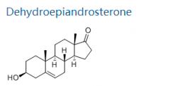 Dehydroepiandrosterone CAS: 53-43-0