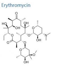 Hot Sale 99% Antibacterial Drug Erythromycin 114-07-8 for Antibiotic Derivatives