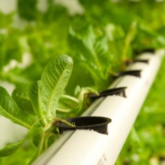 Hydroponic PVC Pipe Model:Round Pipe 50mm,hydroponic grow tubes,pvc pipe hydroponics,hydroponic tubing,pvc hydroponics tower,vertical hydroponics pvc,