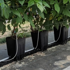 Polypropylene troughs and system 15*15*15mmCocopeat hydroponics trough planting system tomatoes grow gutter Hydroponics Planting Grow Trays Drainage Gutters and Cultivation Troughs