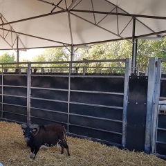 湖塑牛羊围栏板