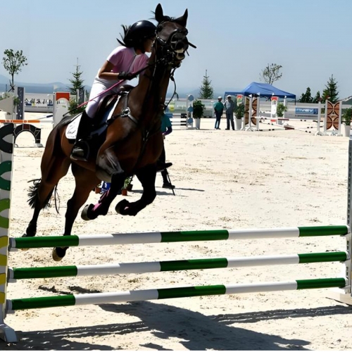 Customized Professional Obstacle Jumping BarObstacle Cross Bar Obstáculos para pistas White Plastic Show Jump Poles Show jumping poles obstacles pipe Fence