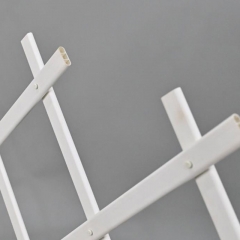 Plastic Wall Trellis Expanding Plant Climbing Vine Crepe Garden PVC Fence