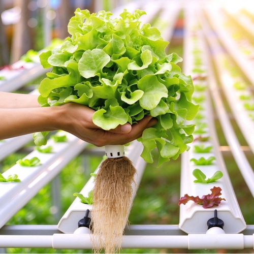 Hydroponic PVC Pipe Model:Square Pipe 80*80mm/hydroponic grow tubes,pvc pipe hydroponics,hydroponic tubing,pvc hydroponics tower,vertical hydroponics