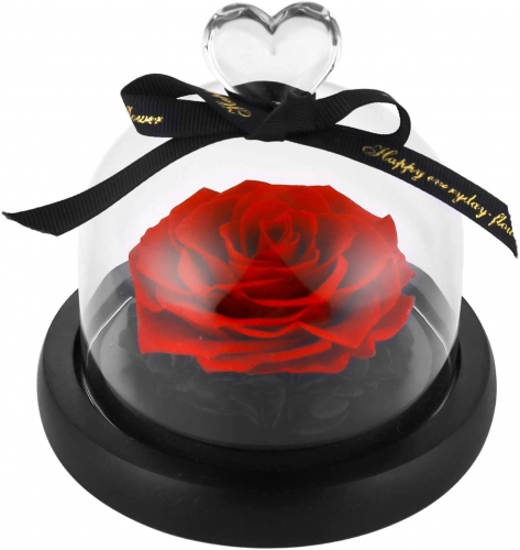 Preserved Real Rose in Box Handmade Eternal Forever Flower Red Rose for  Women