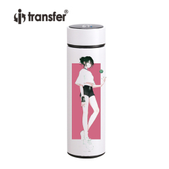 500ml Sublimation Blank Stainless Steel Water Bottle with Infuser