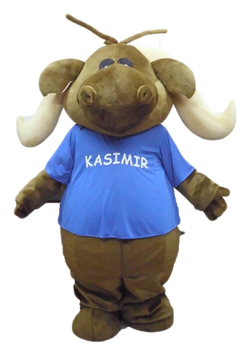 Adult Fancy Mammoth Mascot Deguisement Mascotte Custom Mascots Arismascots Professional Team Mascot Maker Company