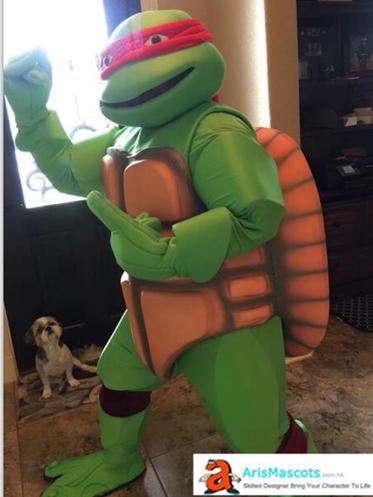 Adult Fancy Teenage Mutant Ninja Turtle Mascot Costume Cartoon ...