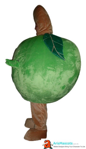 green emerald velvet dress Buy BookMyCostume Apple Fruit Kids Fancy Dress Costume 3-4 years Online at  Low Prices in India