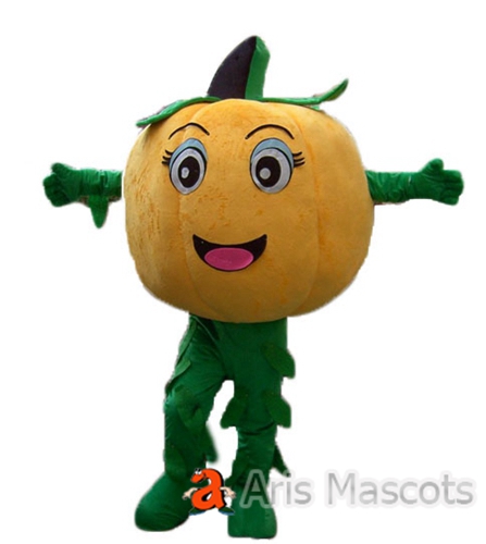 Realistic Pumpkin Mascot costume for Adults, Pumpkin Halloween Costume