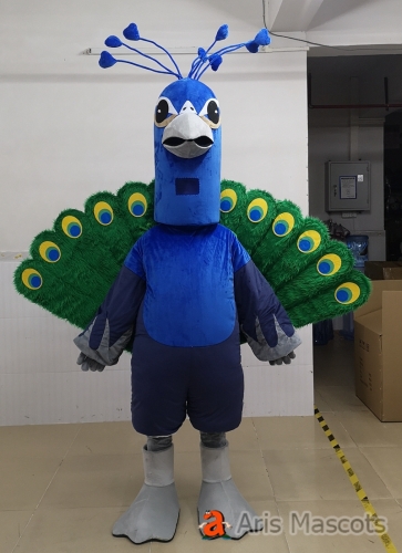 Blue Peacock Mascot Costume for Outdoor Events-Adult Peacock Fancy Dress