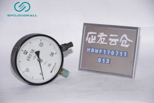 PRESSURE GAUGE YTZ-1500-0.4MPA