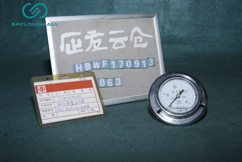 SHATTER PROOF PRESSURE GAUGE YTN-100ZT0-40MPA