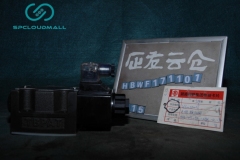 DIRECTIONAL VALVE DSG-03-2B2-A240-N1-50