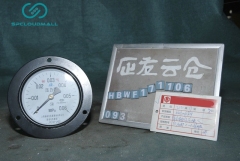 PRESSURE GAUGE YO-100ZT -0.1-0.06MPa