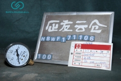 PRESSURE METER Y60 0-0.6MPa 2.5