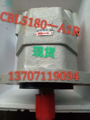 GEAR PUMP CBL5200一A1FR