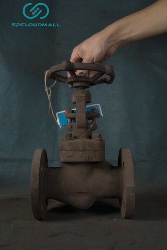 SHUT_OFF VALVE J41H-25 DN40