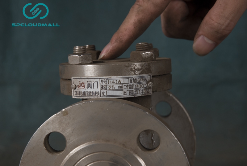 SHUT_OFF VALVE DN25  P16