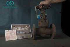 SHUT_OFF VALVE J41H-25 DN40