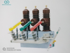OUTDOOR VACUUM BREAKER  ZW32K-12M ZW32K-12DM  ZW20K-12