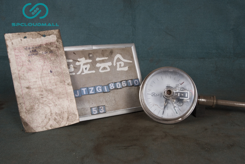 PRESSURE GAUGE (METER) WSSK411 L=600 100°C
