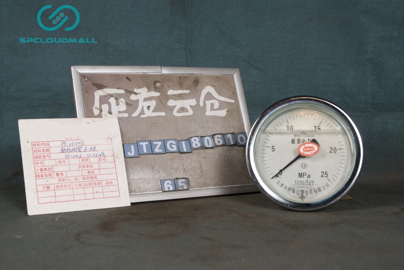 VIBRATION-PROOF PRESSURE METER WITH BACK  CONNECTION YN-100Z 0-25MPa
