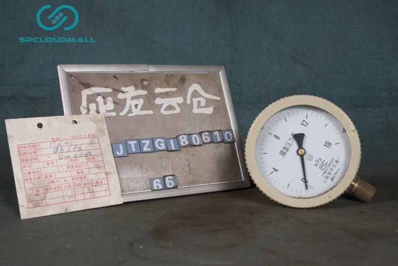 CAPSULE PRESSURE METER YE100 0-10MPa