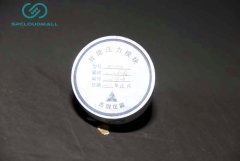 INTRLLIGENT PRESSURE MODULE JC-YM0-1.6mpa