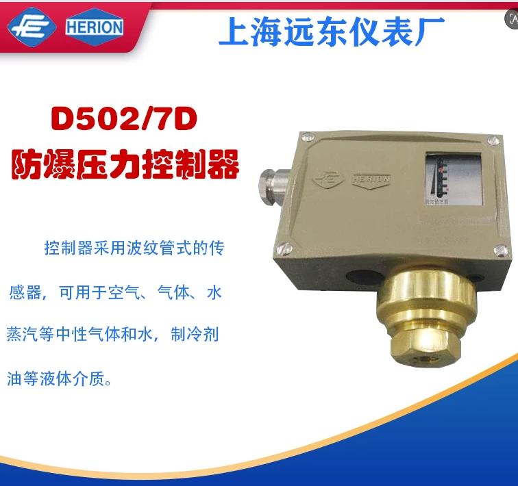 D502/7D explosion-proof pressure controller 0850180/ 0850280