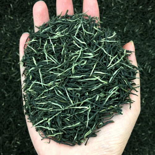 2023 Green Tea Xin Yang Mao Jian Spring Tea Chestnut Fragrance Craft  Maojian Weight Loss Health care