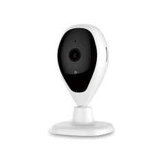 Face Recognition Camera, Wireless, 1080P