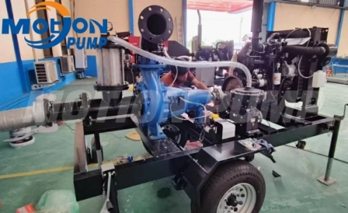 Dewatering Pump Project in Thailand