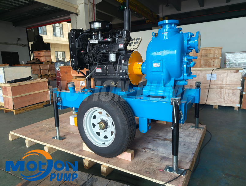 Russia Project Dewatering Pump