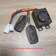 Electronic Lock