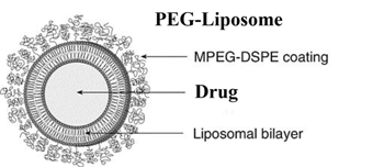 Liposome