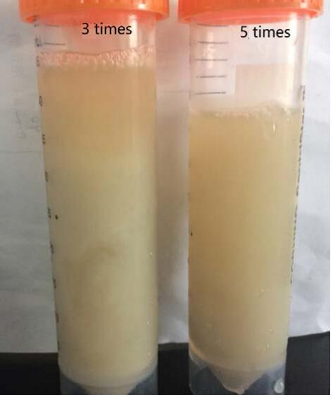 E. coli suspension after high-pressure homogenization