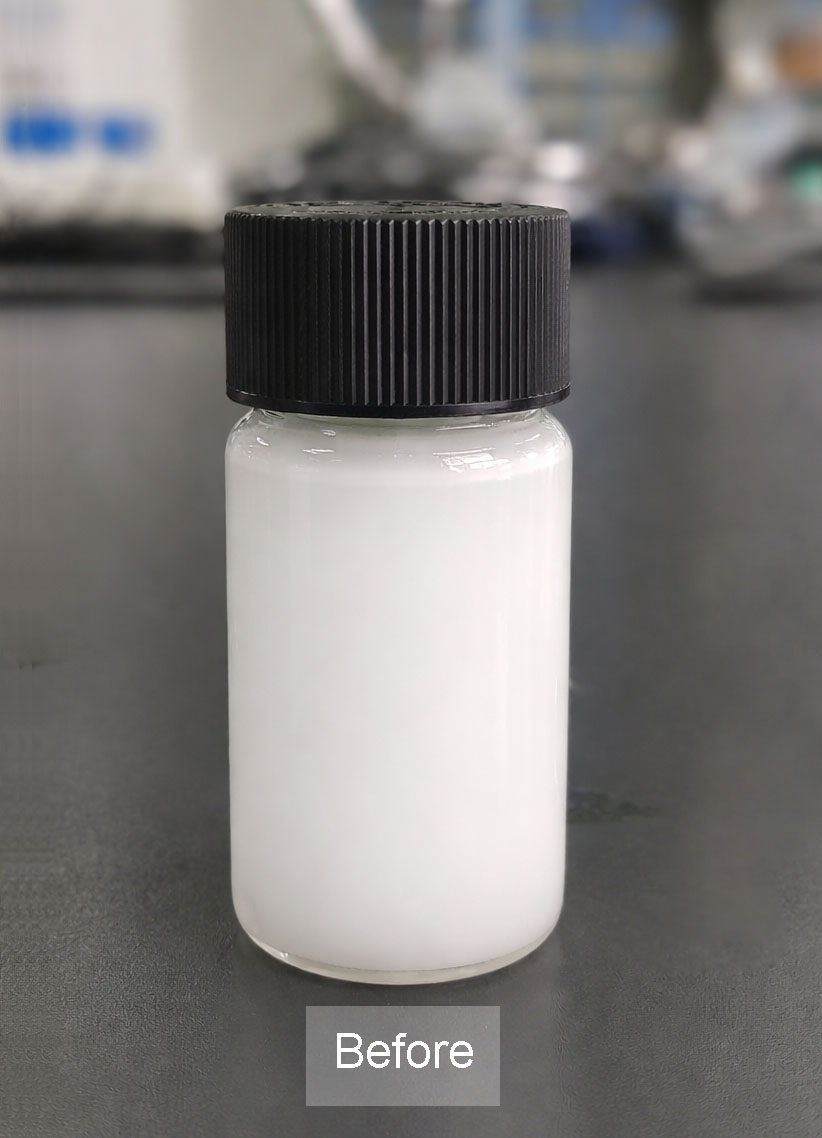 Liposome  Suspensions Before  High-Pressure Homogenization