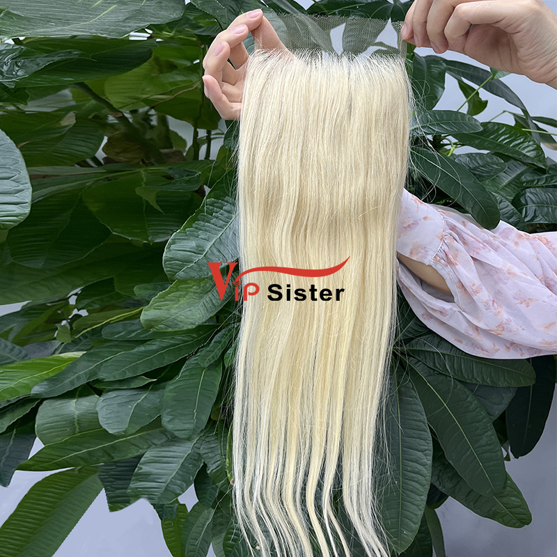 Blonde #613 European Virgin Human Hair HD 5X5 Lace Closure Straight