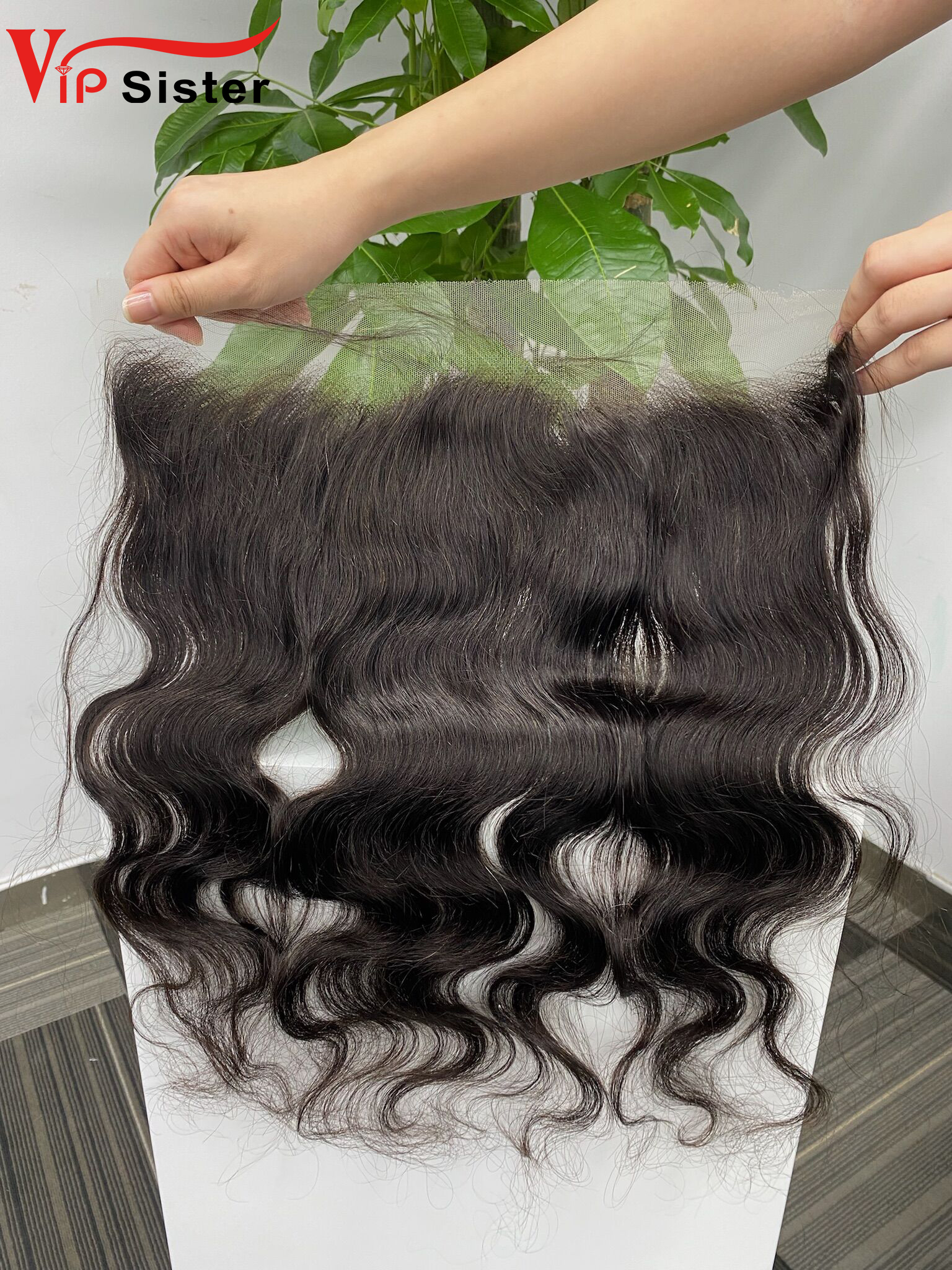 13×4 HD Lace Body Wave 12 14 16Inch Free Shipping