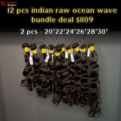 Vipsister 12 pcs indian raw hair bundles total 1109$ free shipping
